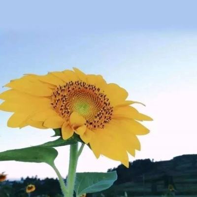ku游体育下载免费版最新版-ku游体育下载免费版高速版V3.34.88.497 -官方版