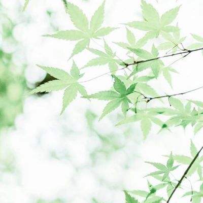 唐门六道手机游戏下载